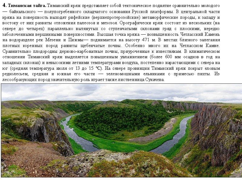 4. Тиманская тайга. Тиманский кряж представляет собой тектоническое поднятие сравнительно молодого — байкальского —